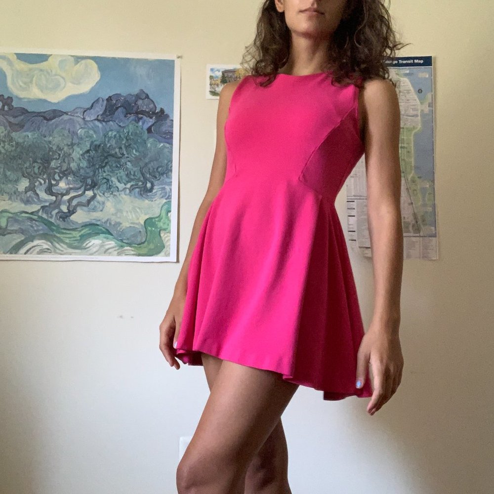 Zara Basic Evening Collection Pink Mini Dress - image 5